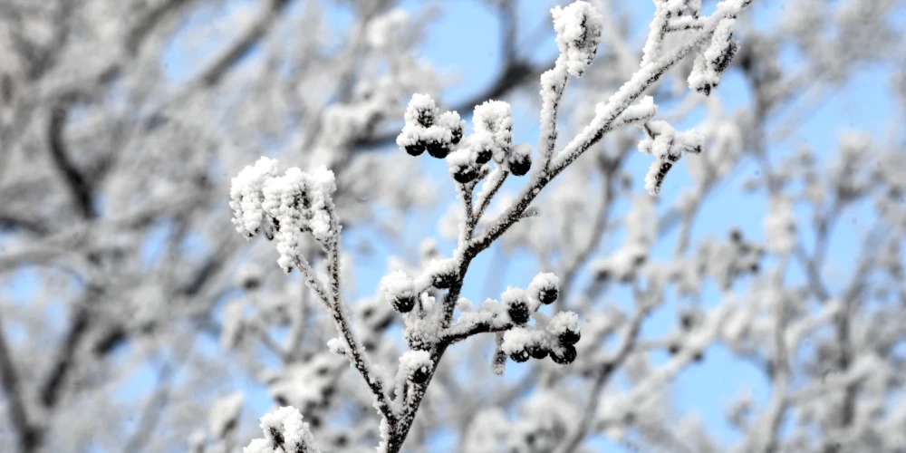 Иллюстративное фото.