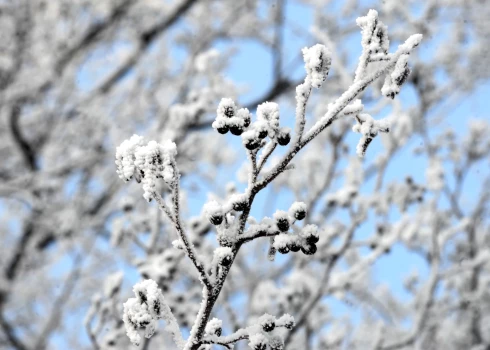 Иллюстративное фото.