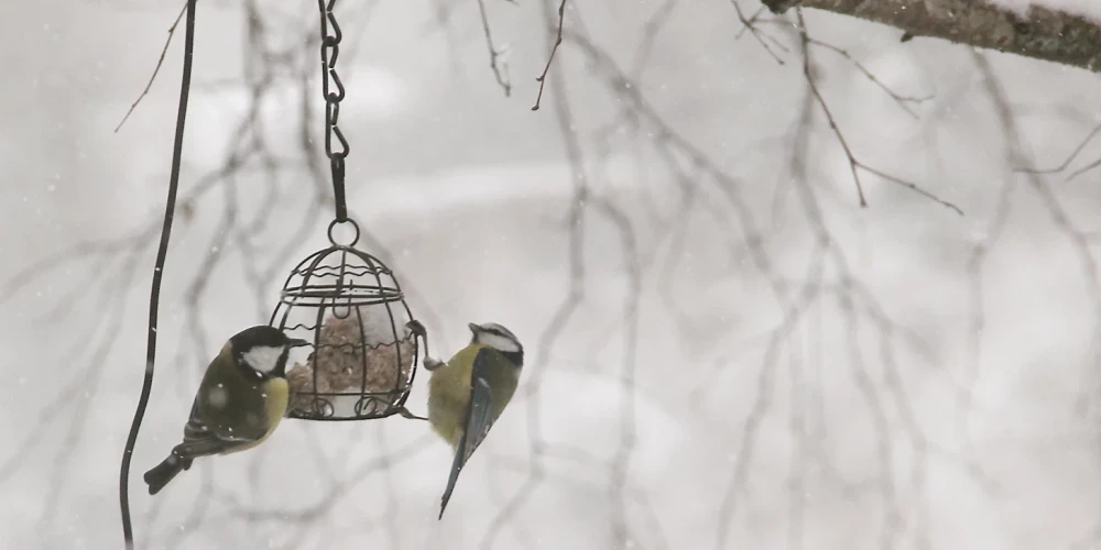 Иллюстративное фото.