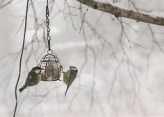 Иллюстративное фото.