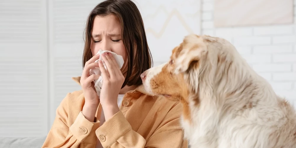 Насморк - это не просто простуда, а вызов иммунитету.