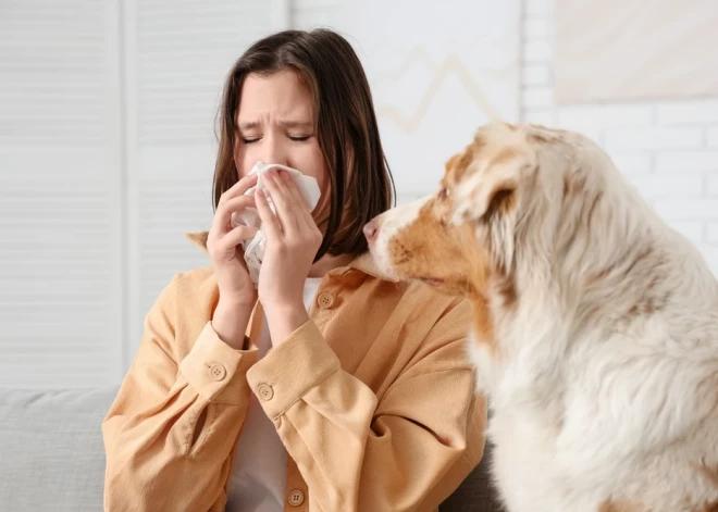 Лук, чеснок и капли: что на самом деле помогает при заложенности носа?