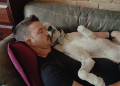 Спите днем правильно: как 20 минут сна могут "перезагрузить" ваш мозг