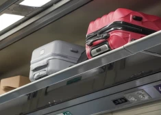 Депутаты ЕС предлагают закрепить бесплатную ручную кладь и упростить компенсации за задержки рейсов