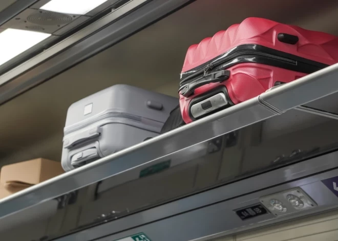 Депутаты ЕС предлагают закрепить бесплатную ручную кладь и упростить компенсации за задержки рейсов