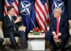 Конфликт исчерпан? Трамп заявил, что он договорился с НАТО о будущем Гренландии