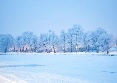 Осадков выпало лишь 12% от нормы: середина января в Латвии оказалась необычно сухой