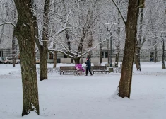 Уже скоро в Латвии местами потеплеет до 0, но ожидается снег