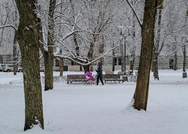 Уже скоро в Латвии местами потеплеет до 0, но ожидается снег