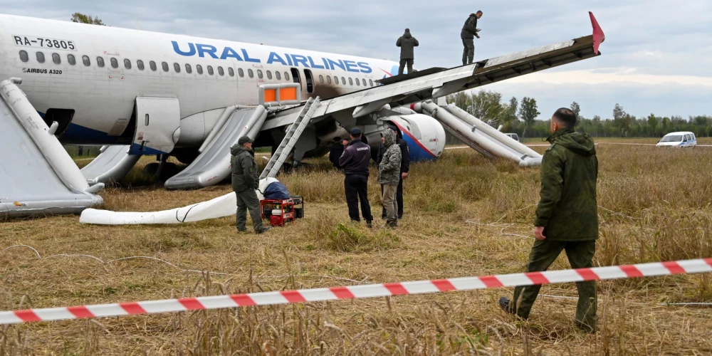 Labības laukā nosēdinātā "Ural Airlines" lidmašīna, kurā atradās 167 cilvēki (foto: Scanpix / Reuters)