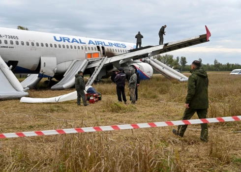 Labības laukā nosēdinātā "Ural Airlines" lidmašīna, kurā atradās 167 cilvēki (foto: Scanpix / Reuters)