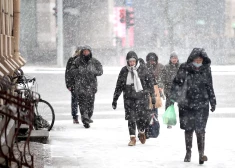 Три нарушения за год - и ВНЖ могут аннулировать: Сейм поддержал поправки