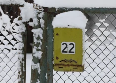 В Латвии начали наказывать за компьютерную неграмотность: получение бумажного счета обойдется в огромную сумму