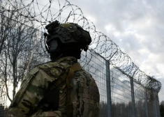 Пограничники признались, почему на самом деле в этом году на границе не поймано ни одного нарушителя