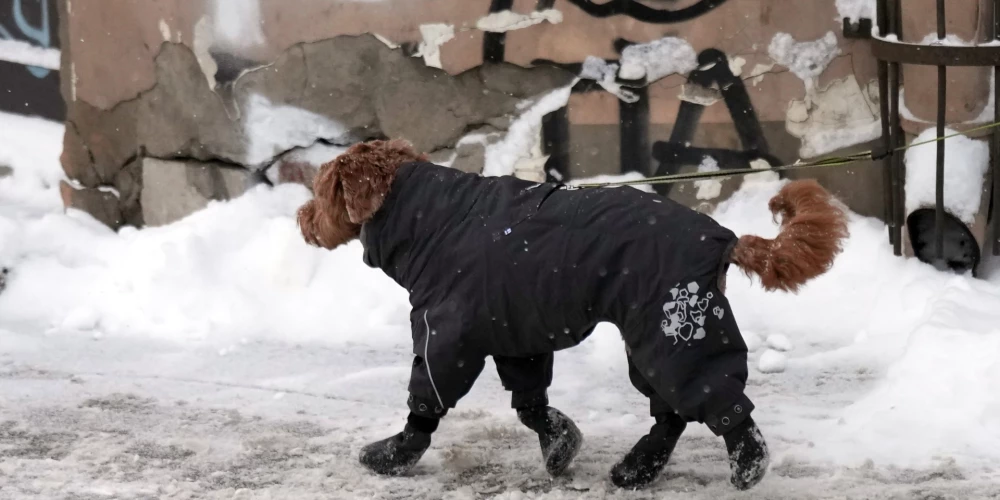 Tuvākajā diennaktī pastiprināsies sals.