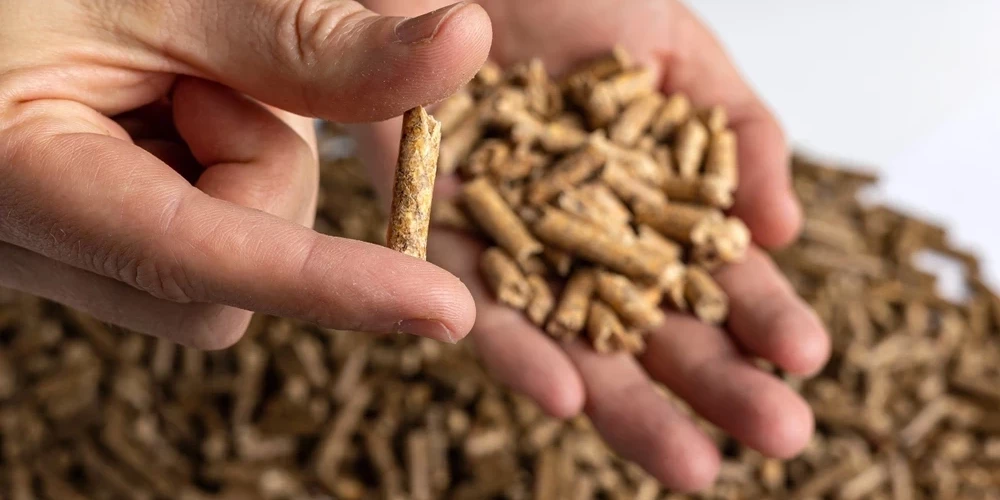 Иллюстративное фото.