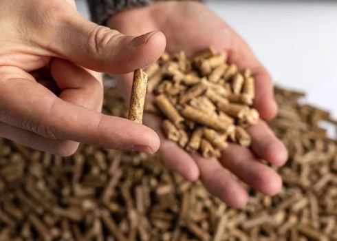 Иллюстративное фото.