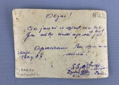 Sibīrijas bērza tāss eksponāti: Aizputes muzejs lepojas ar UNESCO novērtējumu