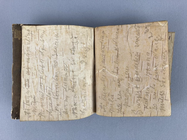 Grāmatiņā pierakstīti gan dziesmu, gan ikdienas saziņā nepieciešamie svešu valodu vārdi.