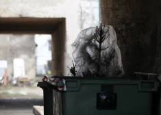 NMPD spiests reaģēt uz izsaukumiem pie “mirušām” eglītēm