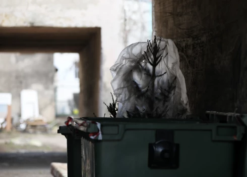 NMPD spiests reaģēt uz izsaukumiem pie “mirušām” eglītēm. 