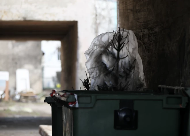 NMPD spiests reaģēt uz izsaukumiem pie “mirušām” eglītēm