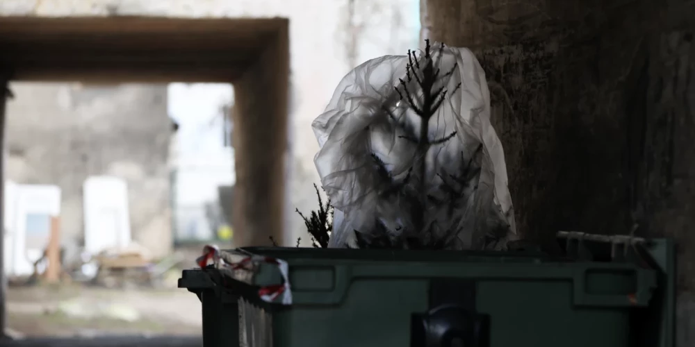 Иллюстративное фото.