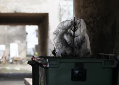 Ну и шуточки! Спасатели и медики вынуждены реагировать на вызовы к "мертвым" елкам