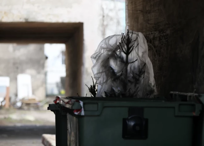 Ну и шуточки! Спасатели и медики вынуждены реагировать на вызовы к "мертвым" елкам