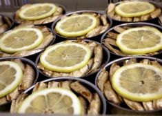 Покупайте на здоровье: Латвия отвезет арабам на пробу свои шпроты и сырки