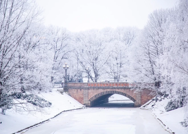 В начале выходных похолодает до –11, местами обещают солнце
