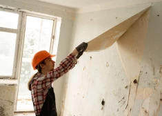 Только половина жителей Латвии планирует улучшать жилье в 2026 году - год назад таких было значительно больше