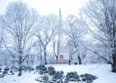 В понедельник в Латвии местами ожидают прирост снежного покрова на 2-4 см