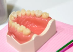 Gastroenterologs Vilkoite: bojāti zobi un smaganas var nopietni ietekmēt daudzas orgānu sistēmas