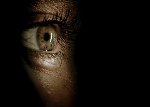 Pēc Leldes stāstītā, konsultācijai noslēdzoties, Medians esot sācis izteikt komplimentus par sievietes vizuālo izskatu. / Ilustratīvs attēls/