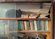 Madonas novada dzīvnieku aprūpētāji dalās stāstā par baisos apstākļos dzīvojušu kaķeni 