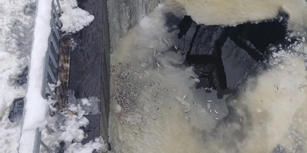 Foto: Preiļu novada pašvaldība