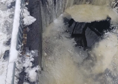 Foto: Preiļu novada pašvaldība