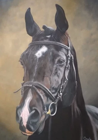 Dobeles muzejā zirgu veterinārārstes un mākslinieces Gitas Ozolas izstādes centrā ir zirgs kā brīvības, enerģijas un individualitātes simbols.