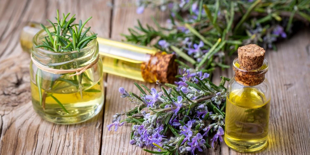 Rozmarīna eļļas popularitāte strauji aug – vai tā patiešām palīdz atjaunot izkritušus matus?