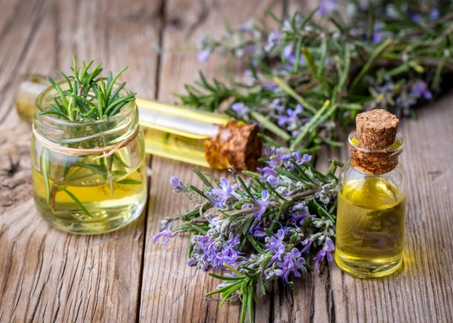 Visi runā par rozmarīna eļļu: vai šis matu kopšanas trends tiešām strādā?