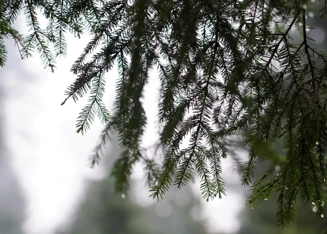 Policijai izdevies noskaidrot saistībā ar kādu noziegumu Valmierā meklētā vīrieša identitāti 