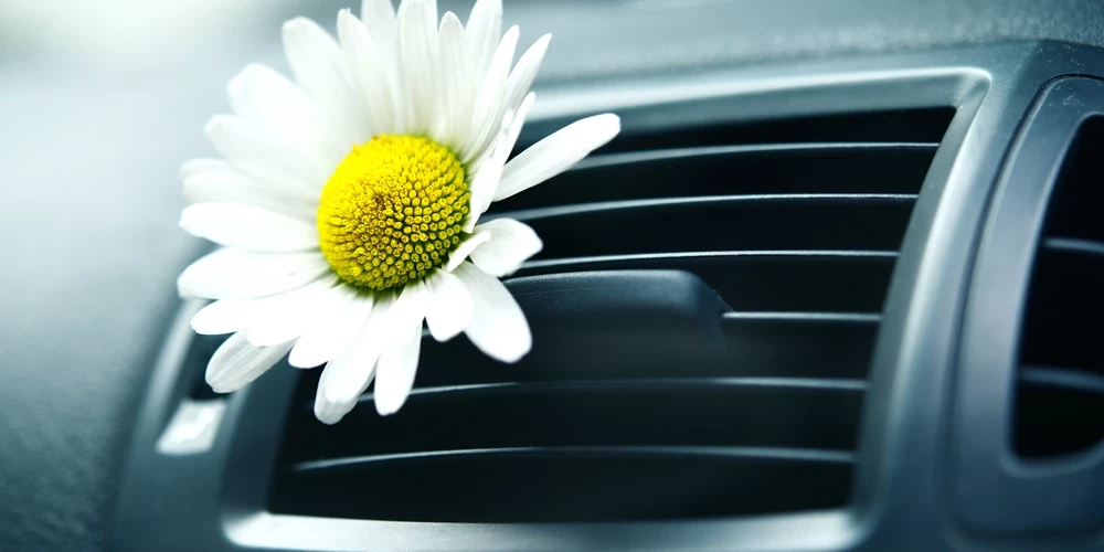 Иллюстративное фото.