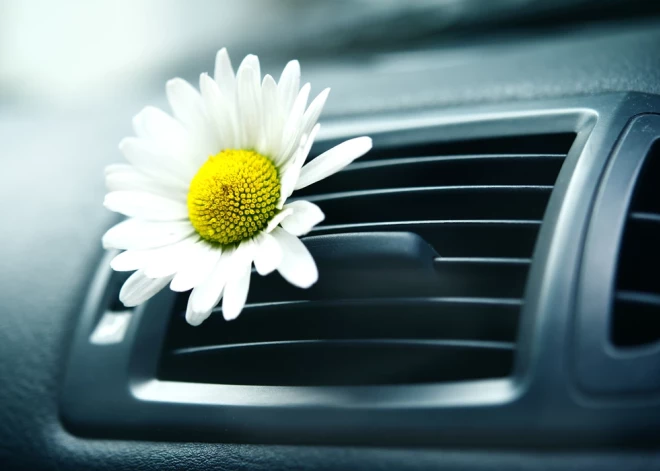 Вентспилсский край сделал еще один шаг в сторону климатической нейтральности