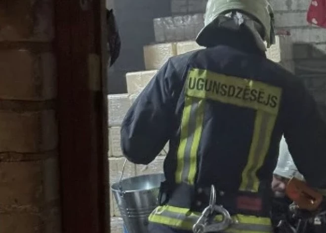 Slokas dzīvnieku patversmē nelaime: lūdz sabiedrības palīdzību, lai dzīvnieki nenosaltu