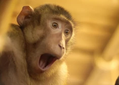 К кому из знаков зодиака в феврале вернется человек из прошлого