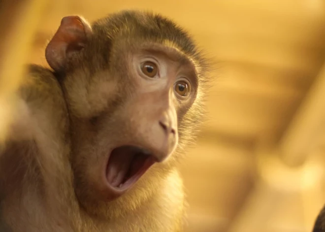 К кому из знаков зодиака в феврале вернется человек из прошлого