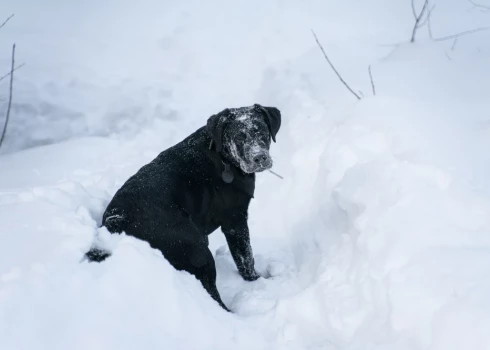 /Ilustratīvs attēls/