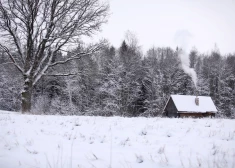 Во вторник на юге страны продолжится снегопад