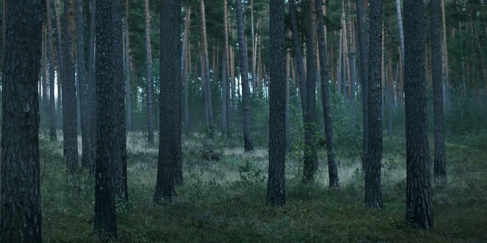 15 gadus vecās Olgas dzīvi aprāva klasesbiedru pastrādātā slepkavība. 
